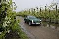 MG Bloesemrit op 24-4-2016 org. Jos&Marie-lou  (115)